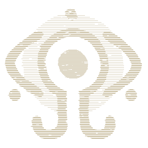 Navi Icon